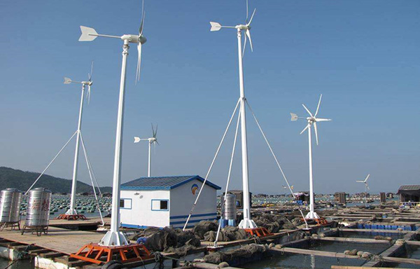环保节能的小型风力发电机广泛应用于民用领域